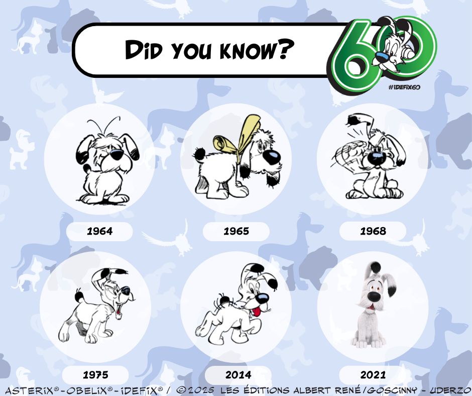 Dogmatix 60 years